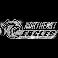 GLT102 SILVER GLITTER Thumbnail