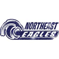 GLT102 BLUE GLITTER Thumbnail